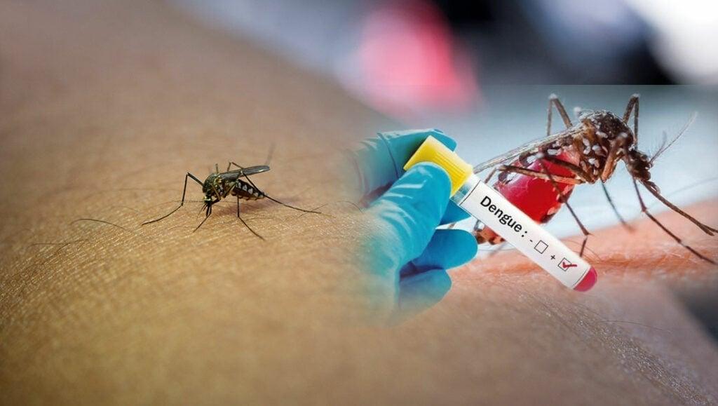 Why so much neglect in dengue prevention?