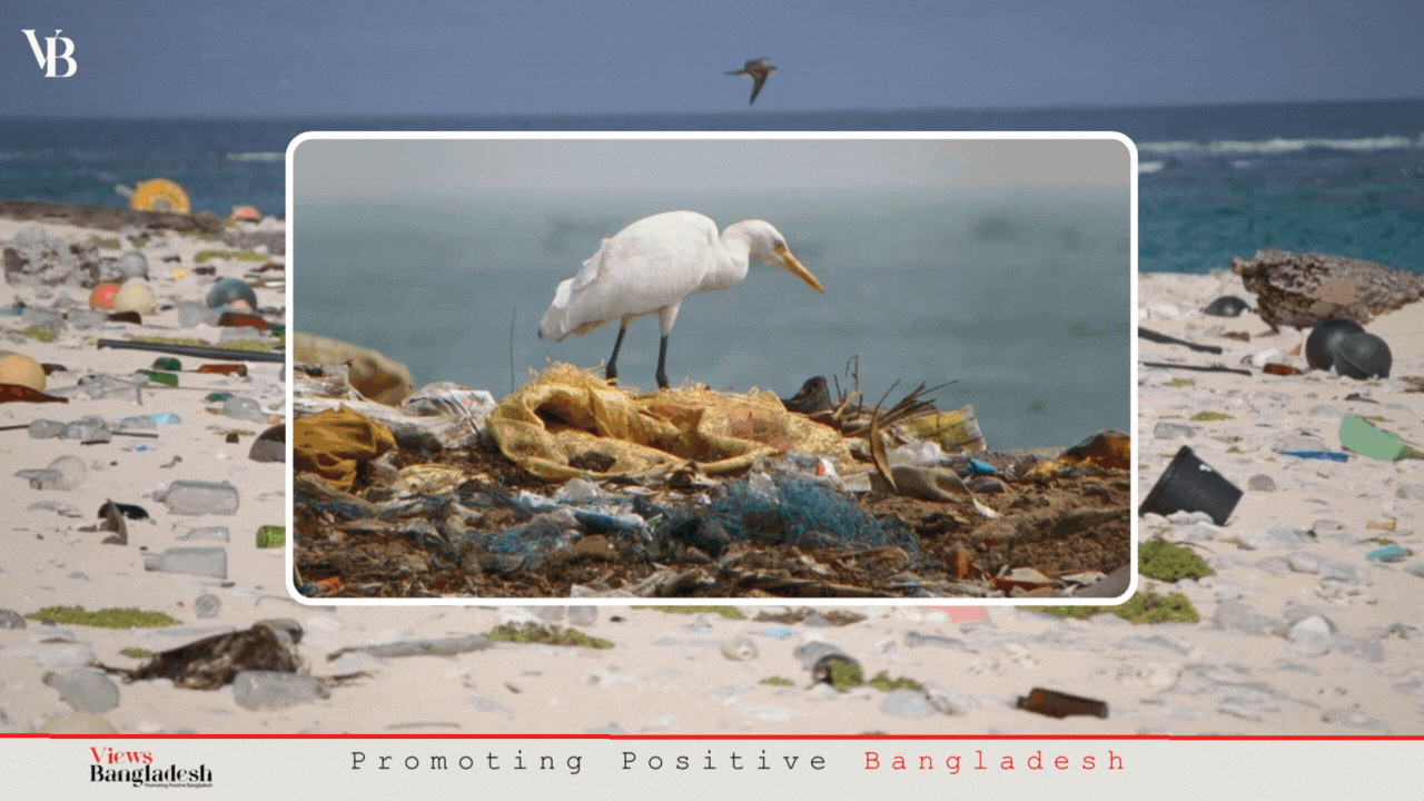 Marine pollution: An alarming threat for South Asian littoral states