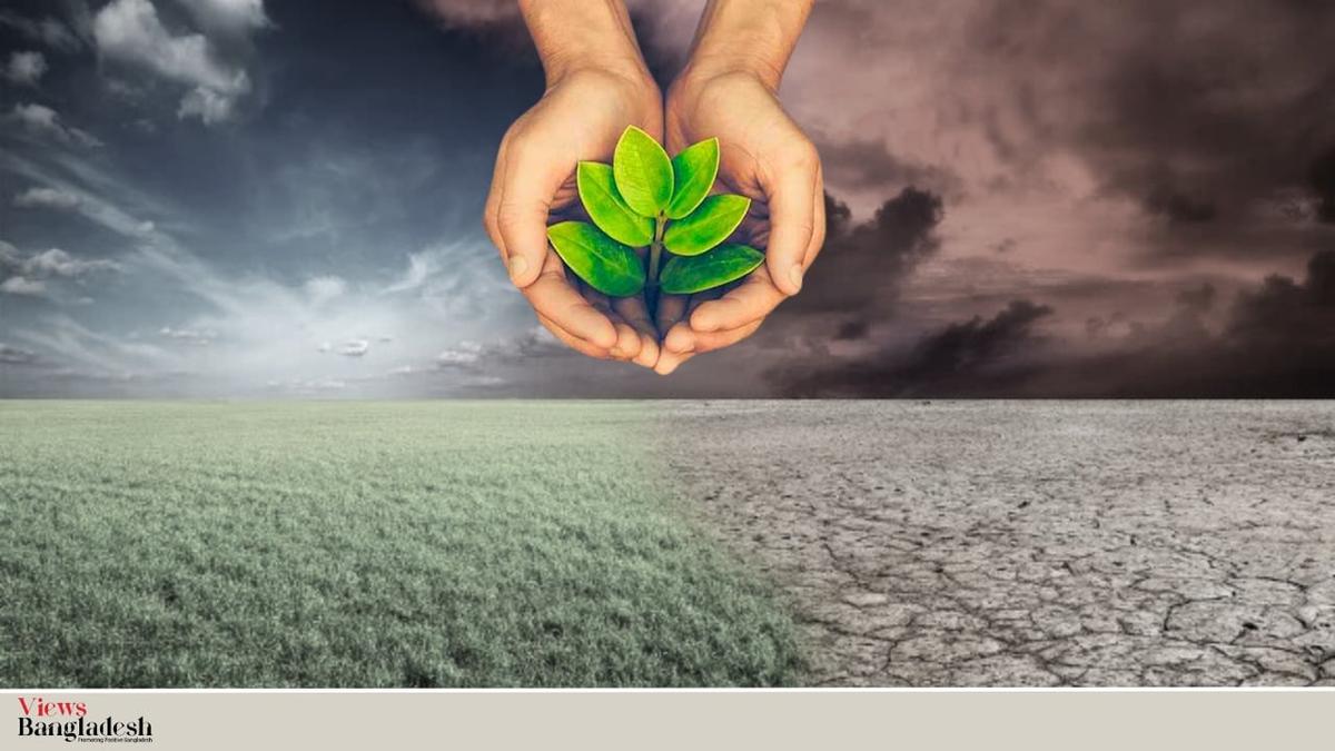 environmental desertification