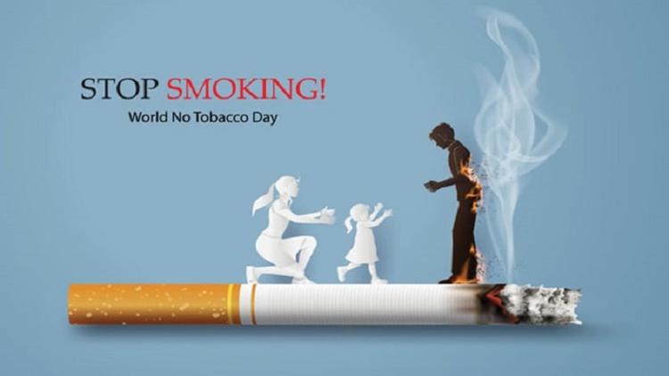 Tobacco cultivation threatens public health, aquatic life