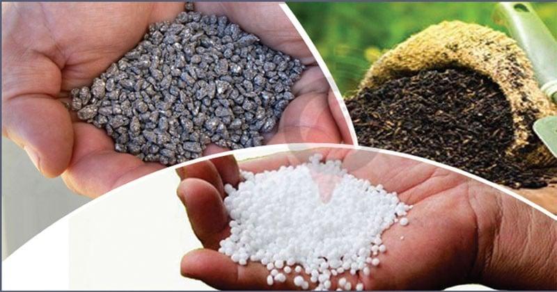 Fertilizer crisis demands permanent solution